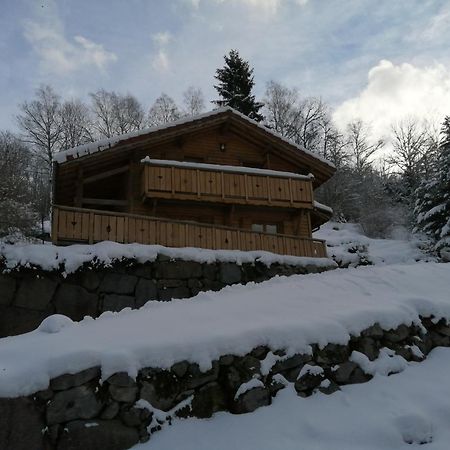 Chalet Typique Vosgien "Les Barbotines" Ventron Luaran gambar